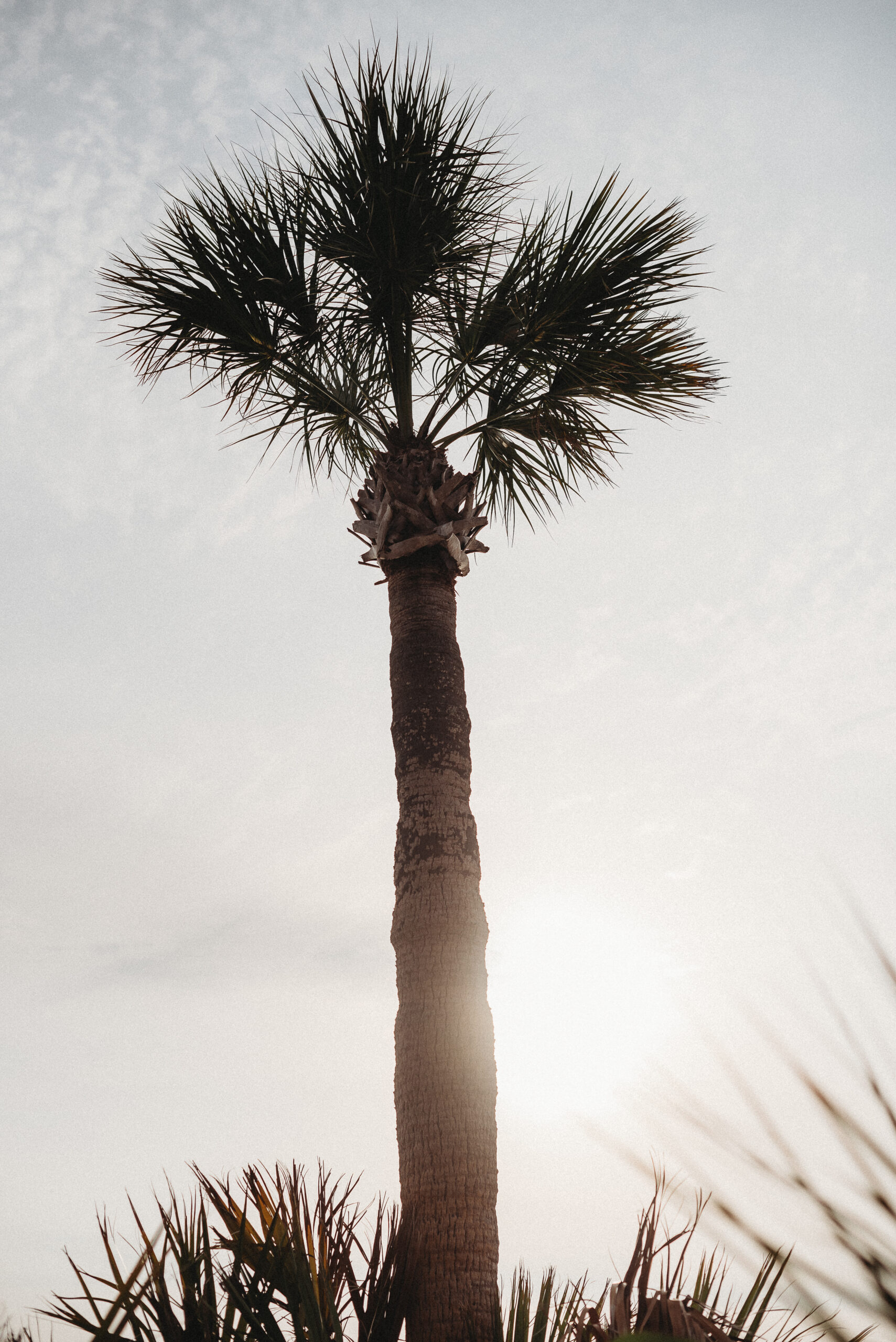 n Springs, Florida.